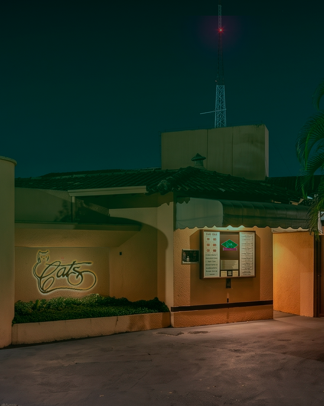 Entrada do Cat's Motel à noite