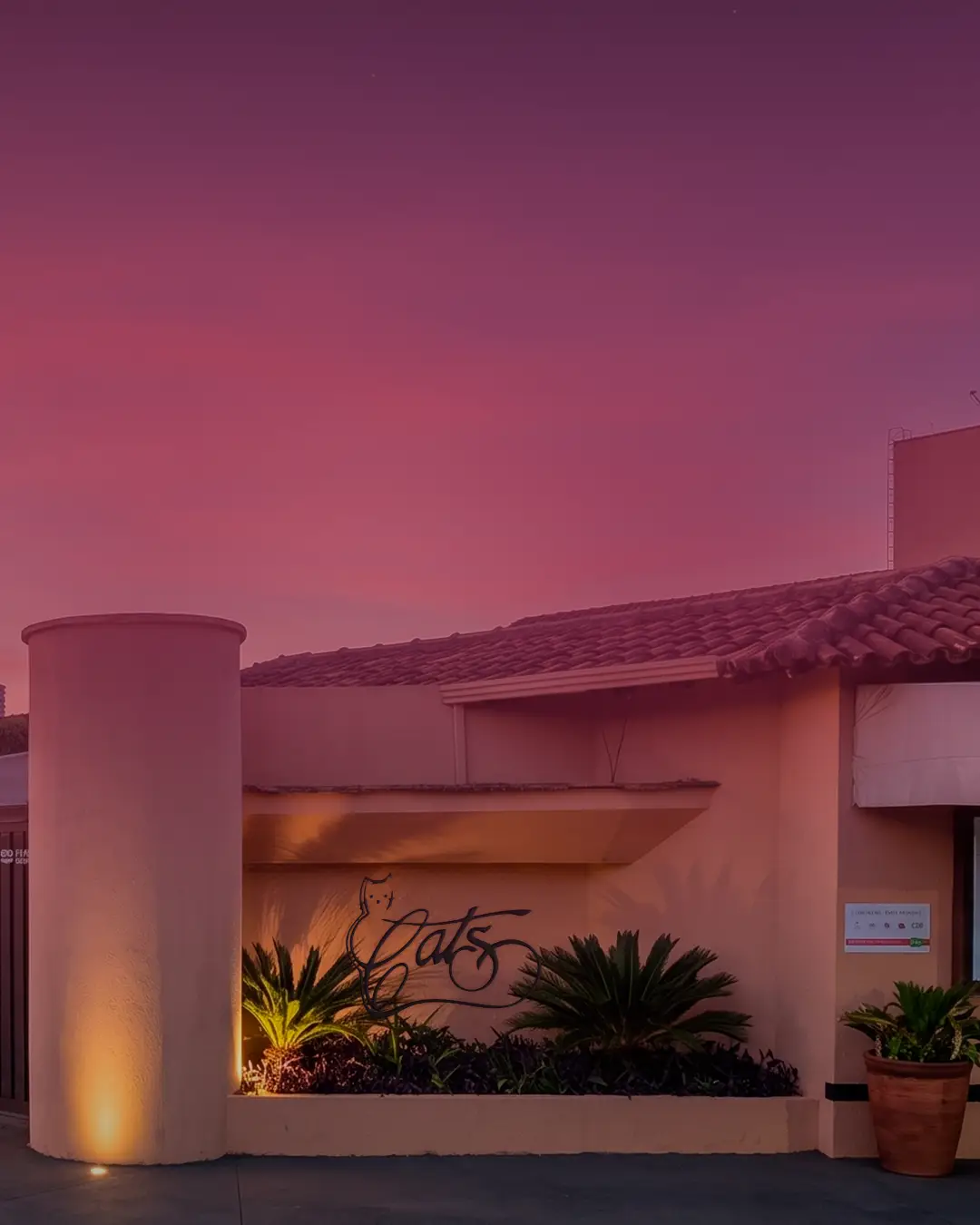 Fachada do Cat's Motel ao entardecer